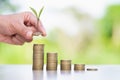 Hand giving a coin to a tree growing from pile of coins.Financial accounting, Investment Concept Royalty Free Stock Photo