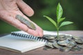 Hand giving a coin to a tree growing from pile of coins.Financial accounting, Investment Concept Royalty Free Stock Photo