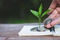 Hand giving a coin to a tree growing from pile of coins.Financial accounting, Investment Concept Royalty Free Stock Photo