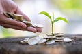 Hand giving a coin to a tree growing from pile of coins.Plant Growing In Savings Coins Money. Financial accounting, Investment Royalty Free Stock Photo