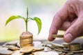 Hand giving a coin to a tree growing from pile of coins.Plant Growing In Savings Coins Money. Financial accounting, Investment Royalty Free Stock Photo