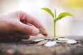 Hand giving a coin to a tree growing from pile of coins.Plant Growing In Savings Coins Money. Financial accounting, Investment Royalty Free Stock Photo