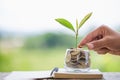 Hand giving a coin to a tree growing from pile of coins.Plant Growing In Savings Coins Money. Financial accounting, Investment Royalty Free Stock Photo