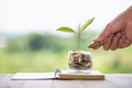 Hand giving a coin to a tree growing from pile of coins.Plant Growing In Savings Coins Money. Financial accounting, Investment Royalty Free Stock Photo