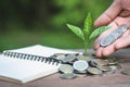 Hand giving a coin to a tree growing from pile of coins.Plant Growing In Savings Coins Money. Financial accounting, Investment Royalty Free Stock Photo