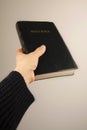 Hand giving the Bible Royalty Free Stock Photo