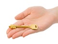 Hand giving key Royalty Free Stock Photo