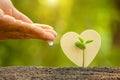 Hand giving water to young green sprout growing in soil and wooden heart symbol on outdoor sunlight and green blur background. Royalty Free Stock Photo