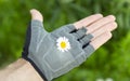 Hand in glove with flower in palm on green background