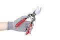 Hand in glove holding garden pruner Royalty Free Stock Photo