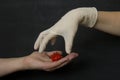 Hand without a glove holds dangerous red coronavirus, hand in white medical disposable rubber latex glove closes, destroys virus, Royalty Free Stock Photo