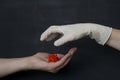 Hand without a glove holds dangerous red coronavirus, hand in white medical disposable rubber latex glove closes, destroys virus, Royalty Free Stock Photo