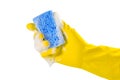 Hand in glove holds soapy sponge for washing dishes, isolated on white background. Closeup Royalty Free Stock Photo