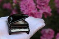 Hand glove piano rose flower background