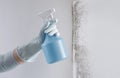 Hand with glove and spray bottle isolated on wall with mold. Eliminate Mold with Specialized Anti-Mold Products. Search cleaning Royalty Free Stock Photo