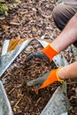 Hand in gloves holding bark mulch. Gardening concept - protection against weeds Royalty Free Stock Photo