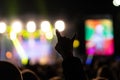 hand with a goat sign of a dancing fan from the crowd at a rock concert of a popular band Royalty Free Stock Photo