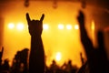 Hand with a goat sign of a dancing fan from the crowd at a rock concert of a popular band