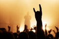 Hand with a goat sign of dancing punk from the crowd at a rock concert of a popular band