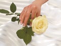 Hand with gold wedding ring and rose on white fest