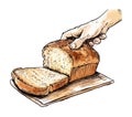 Hand with gourmet bread illustration on fresh flour