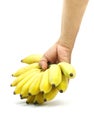 Hand grabbing yellow bananas isolate white background. Royalty Free Stock Photo