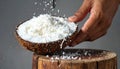 Hand Grating Fresh Coconut Flakes for Culinary Use Royalty Free Stock Photo