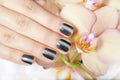 Hand with gray manicured nails and orchid flowers Royalty Free Stock Photo