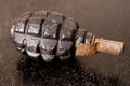 Hand grenade Royalty Free Stock Photo