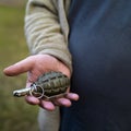 Hand With Grenade Royalty Free Stock Photo