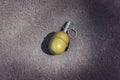 Hand grenade RGD-5 on asphalt. abandoned lost pomegranate green on the pavement. fragmentation grenade