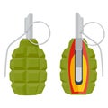 Hand grenade vector illustration.