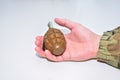 The hand grenade on a white background close-up Royalty Free Stock Photo