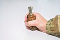 The hand grenade on a white background close-up Royalty Free Stock Photo