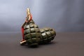 Hand Grenades Royalty Free Stock Photo
