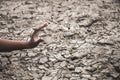 Hand on ground cracked dry due to drought. Royalty Free Stock Photo