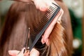 Woman receiving haircut. Royalty Free Stock Photo