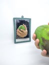 A hand and a half rotten mango in front of a mirror isolated on a white background