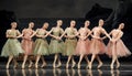 Hand-in-hand ballet girls