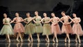 Hand-in-hand ballet girls