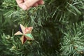 Hand hanging a colorful star with golden glitter, decorating a Christmas tree Royalty Free Stock Photo