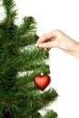 Hand hangs on New Year's pine decoration heart