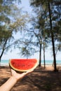 A hand having red watermelon by the sea in sunny day.