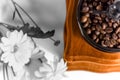 Hand-held old coffee grinder on the table with coffee beans. Chrysanthemum flower in black and white Royalty Free Stock Photo