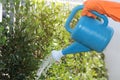 Hand held watering bucket spray water to plants in home garden