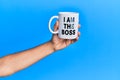 Hand of hispanic man holding i am the boss coffee cup over  blue background Royalty Free Stock Photo