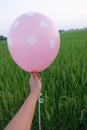 Hand hold blank pink white dots balloon mock up isolated. Baloon mockup art design. Pattern, logo,