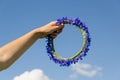 Hand hold cornflower crown in blue sky background Royalty Free Stock Photo