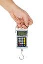 Hand hold digital fishhook scales