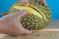 hand hold durian peel .